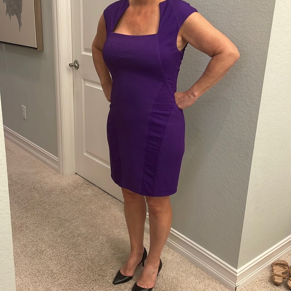 Cache Purple Dress